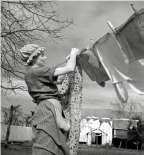 Clothesline - Lott photo